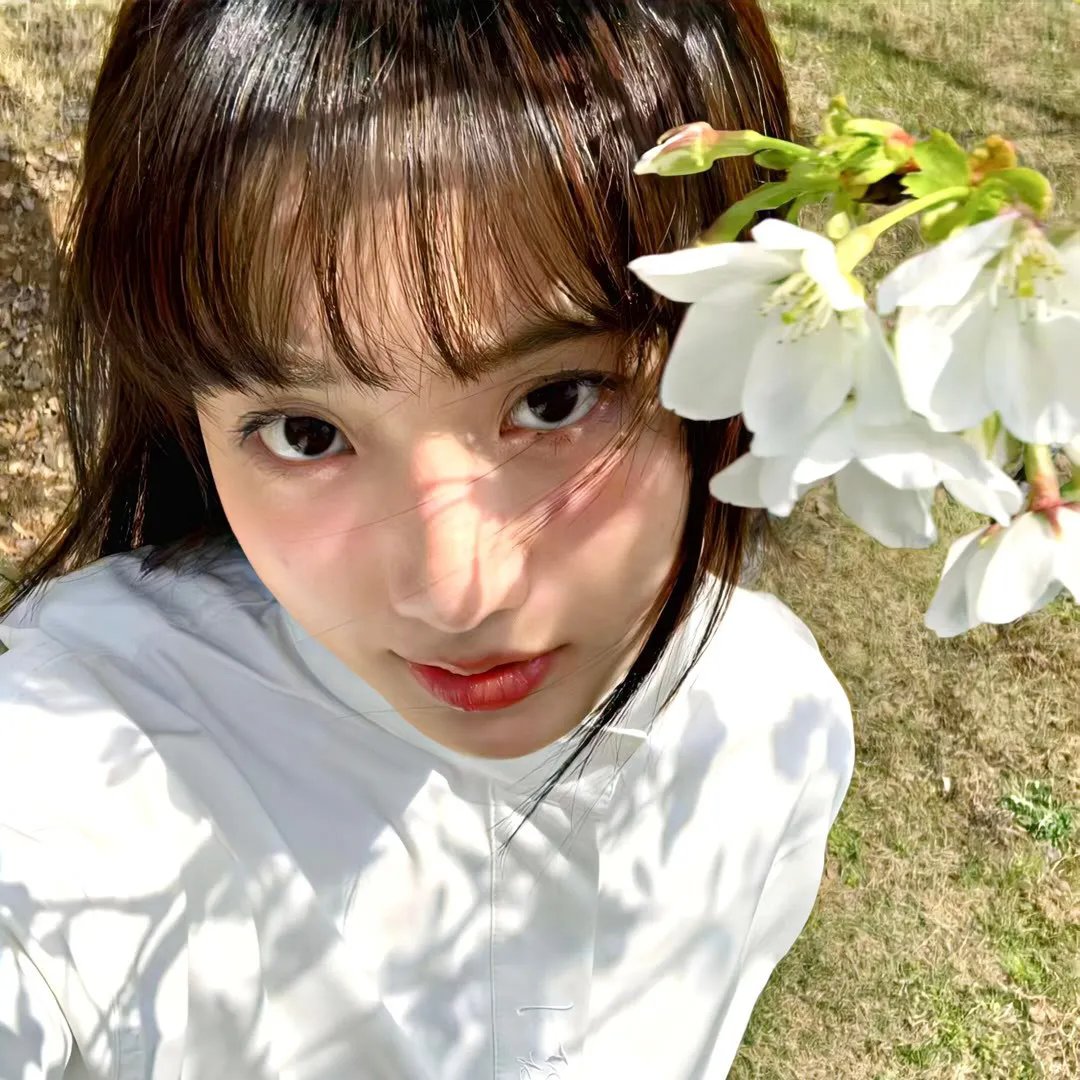 如我们所见